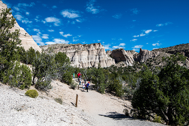 New Mexico slot canyon13