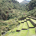 Terraces Of Pisac