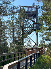 The Fire watch tower on Hill 99