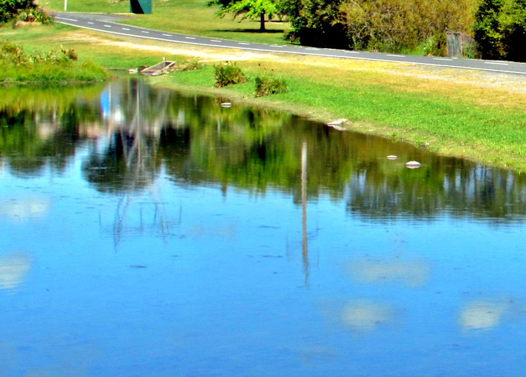 Lake Reflections.