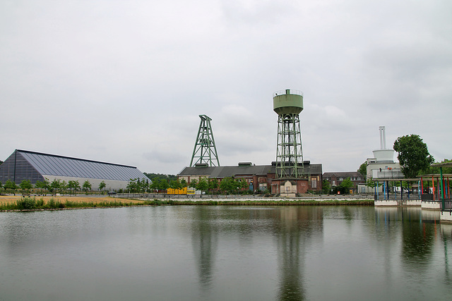 Zeche Lohberg 1/2, Weiher im Bergpark (Dinslaken-Lohberg) / 4.06.2020