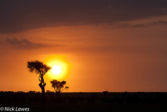 Sunrise in the Mara