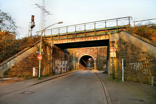 Eisenbahnbrücken über der Ludwig-Krohne-Straße (Duisburg-Duissern) / 26.03.2022