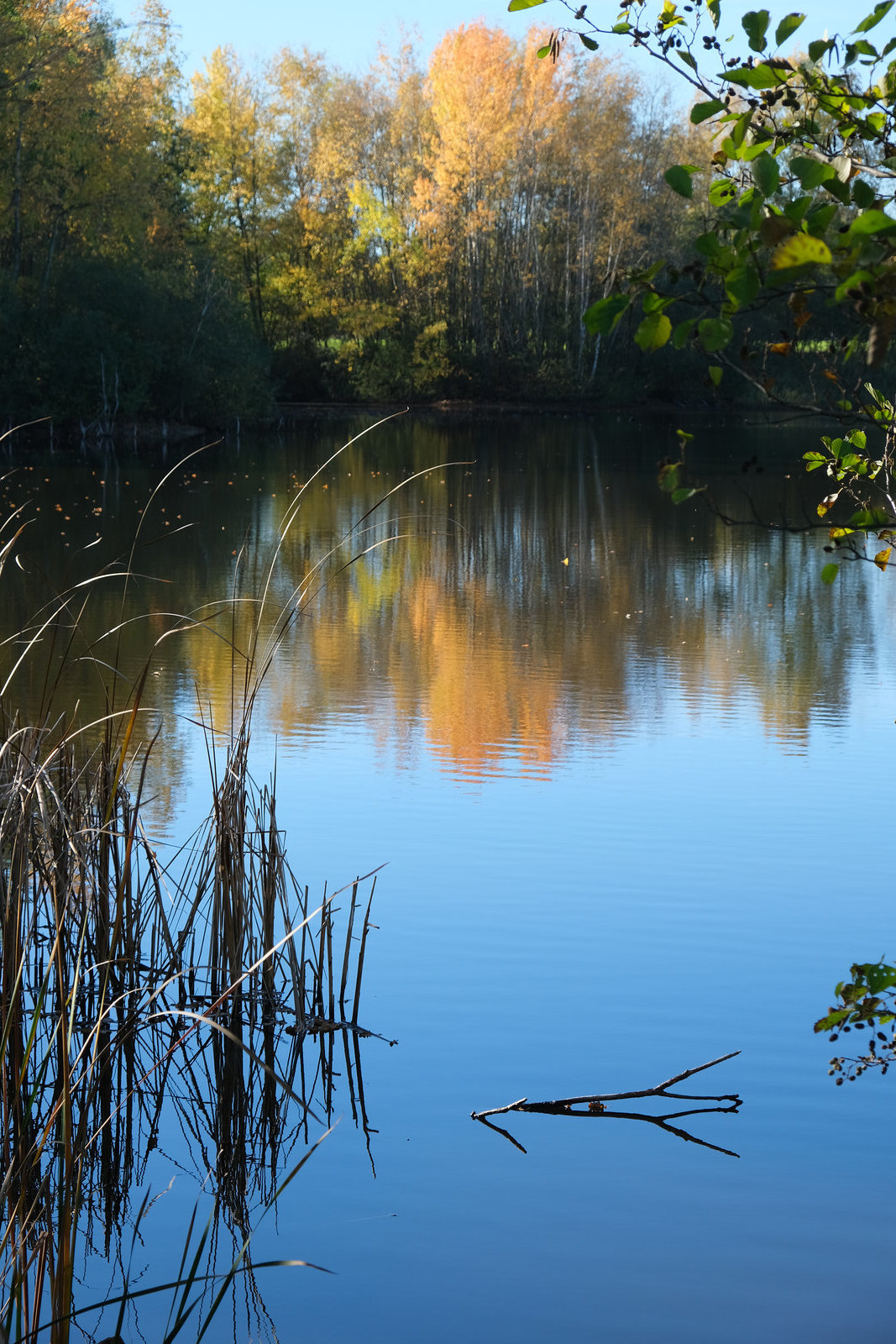 2022 November -  Sonniger Herbsttag in der Heide