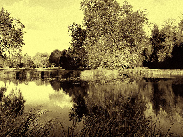 Automne à Chantilly ( Picardie)