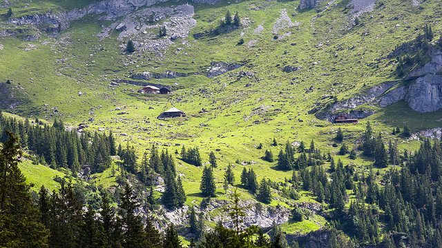 120717 Oeschinen M