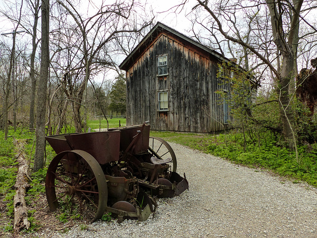 Day 3, side of DeLaurier house, Pt Pelee