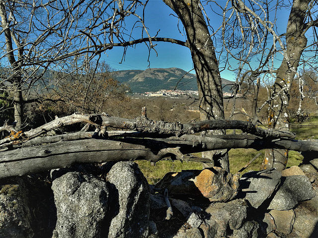 El Escorial viewed from the Roman road and a rudimentary hedge / fence (but not for HFF although perhaps I should have waited till Friday!)