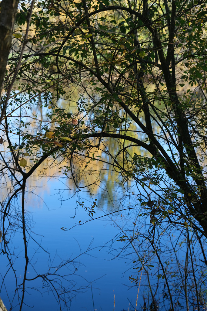 2022 November -  Sonniger Herbsttag in der Heide