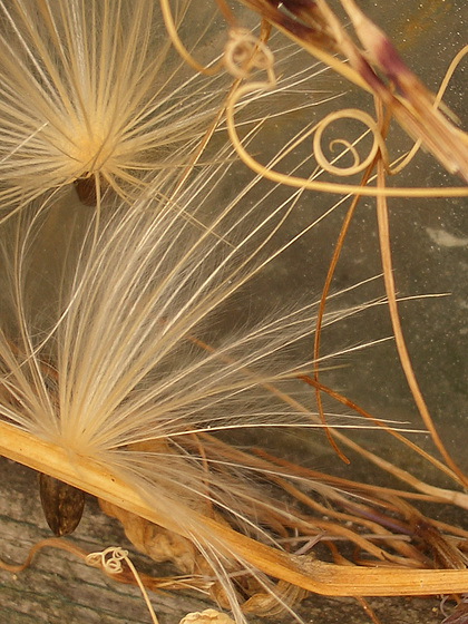 dry swirls-1