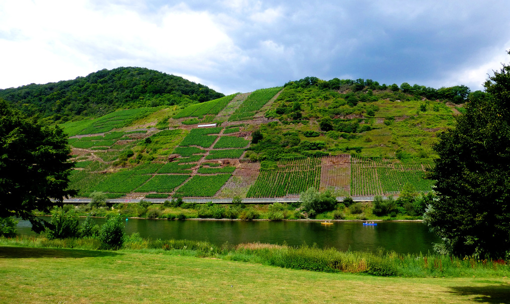 DE - Bruttig-Fankel - Blick auf Mosel und Weinberge