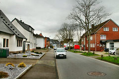 Auf dem Wellerskamp (Witten-Rüdinghausen) / 8.03.2020