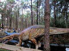 Baryonyx (upper cretacic period).