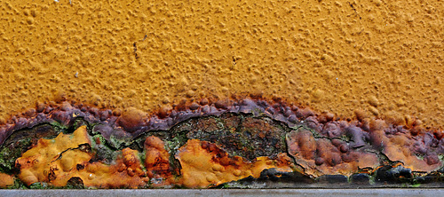 Colourful Crust of Rust!