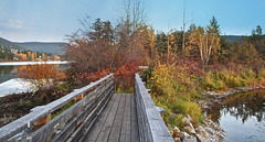 Scout Island