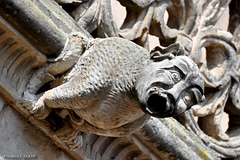Salamanca, Gargoyle of Convento de las Dueñas