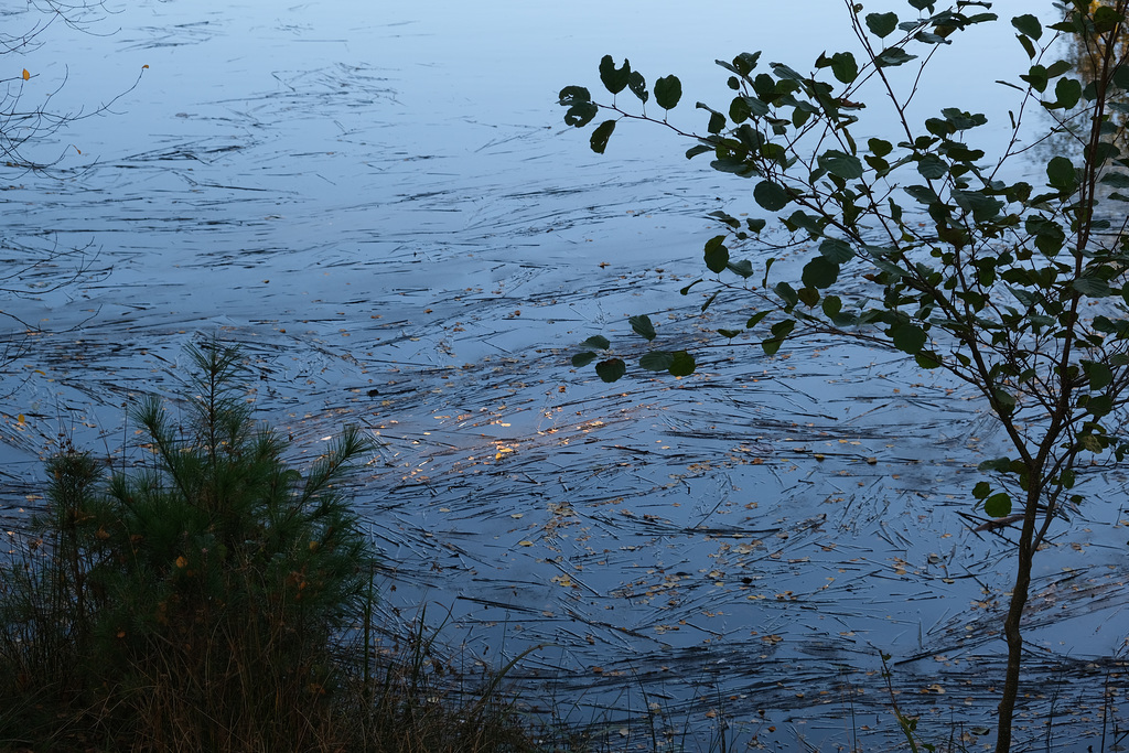 2022 November -  Sonniger Herbsttag in der Heide