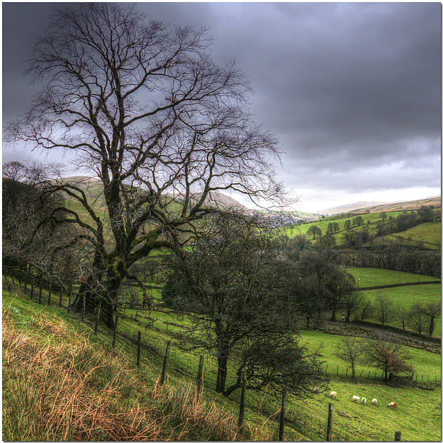 Howgill Fells, Cumbria