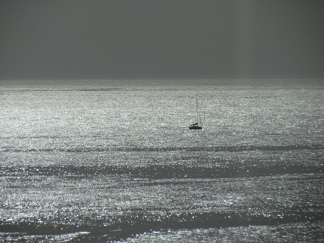 Silver sea, Alvor (2014)
