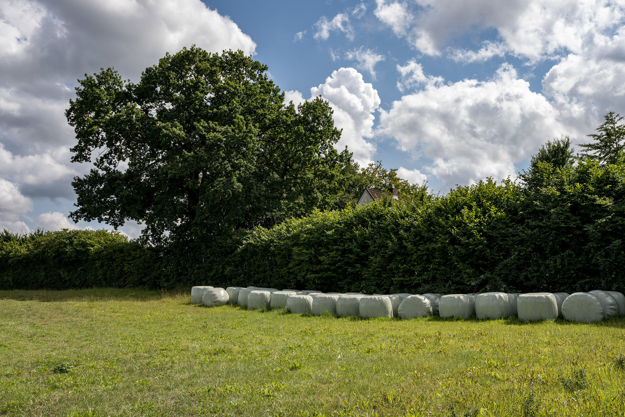 Silage