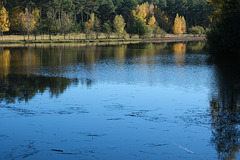 2022 November -  Sonniger Herbsttag in der Heide