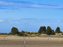 The Culbin sandbar across the Gut, an area of low marshland and salt flats
