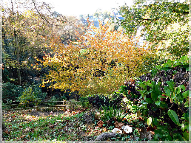 Automne au jardin des petits diables à Dinan (22)