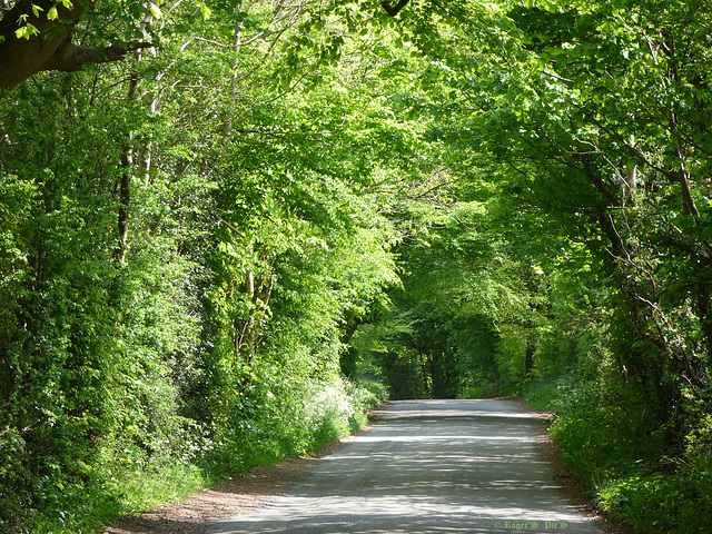 Country Road