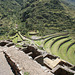 Terraces Of Pisac