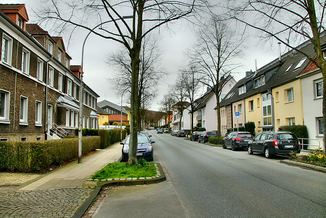 Kreisstraße (Witten-Rüdinghausen) / 8.03.2020