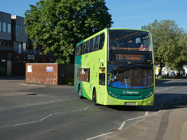 Stagecoach East 15459 (AE09 GYG) in Newmarket - 9 Jun 2021 (P1080485)