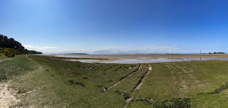 The Gut, Culbin Sands - low-lying salt marshlands stretching for several miles inside the largest sandspit in Scotland.