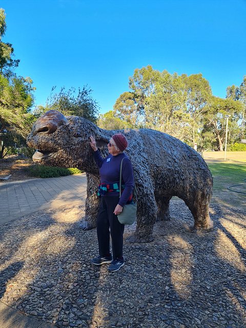 Megafauna Naracoorte caves