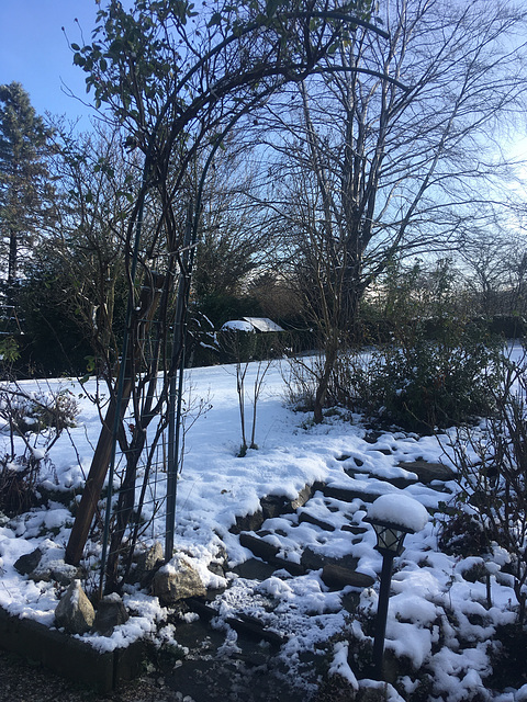 Neige au jardin