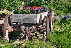 wagon in garden at McCord