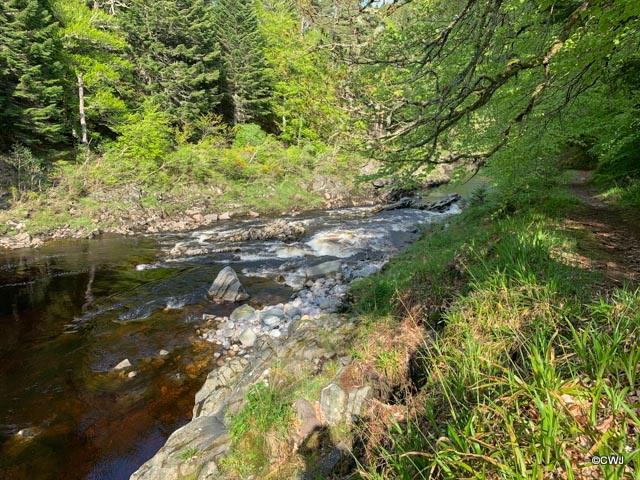 River Findhorn