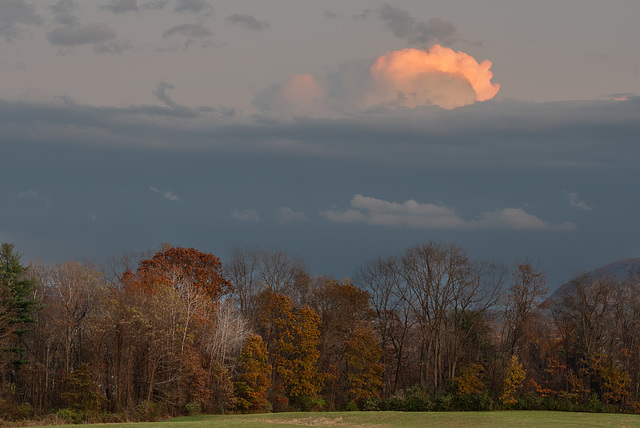 Northampton Twilight -11/7/23 - 4:44 PM