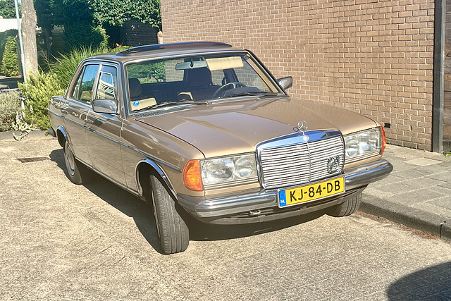 1983 Mercedes-Benz 230 E
