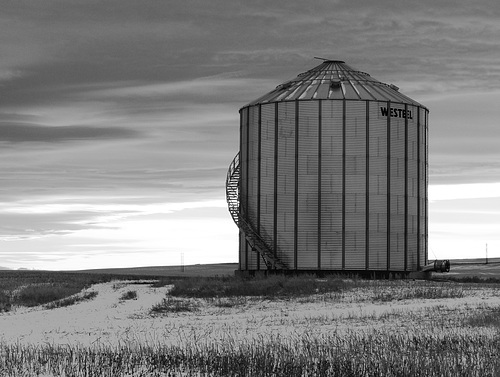 King of silos