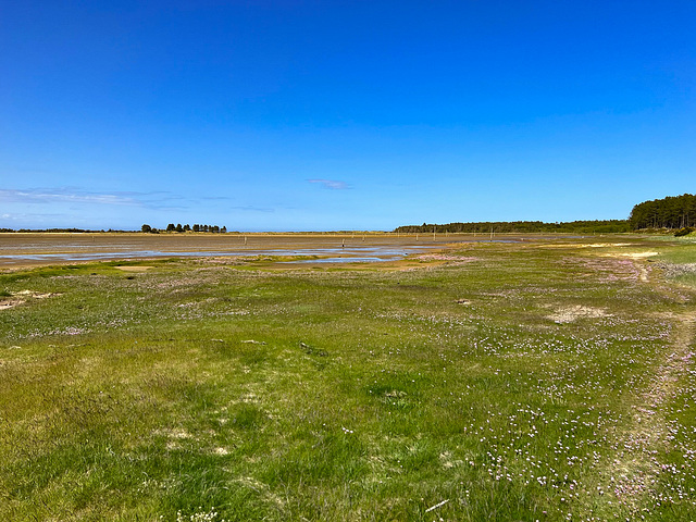 The vast salt marshland between the sandbar and the Culbin Sands forest
