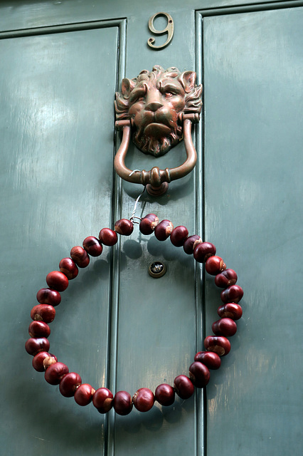 IMG 1486-001-Door Knocker