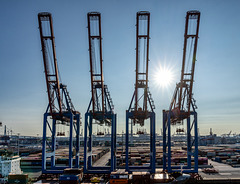 Hamburg Harbour