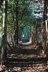 St Leonards Park Path
