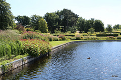 IMG 9245