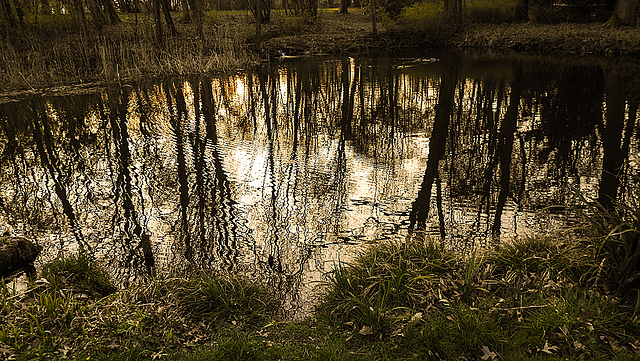 20200327 7028CPw [D~LIP] Spiegelung, Landschaftsgarten, Bad Salzuflen