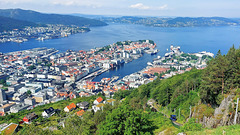 Fløyen