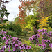 Le jardin d'eau de Claude Monet