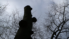 2017 4 14 Wanderung zum Rosenberg Srbská Kamenice Tschechische Republik