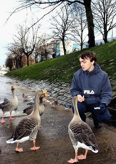 Chatting up the birds.