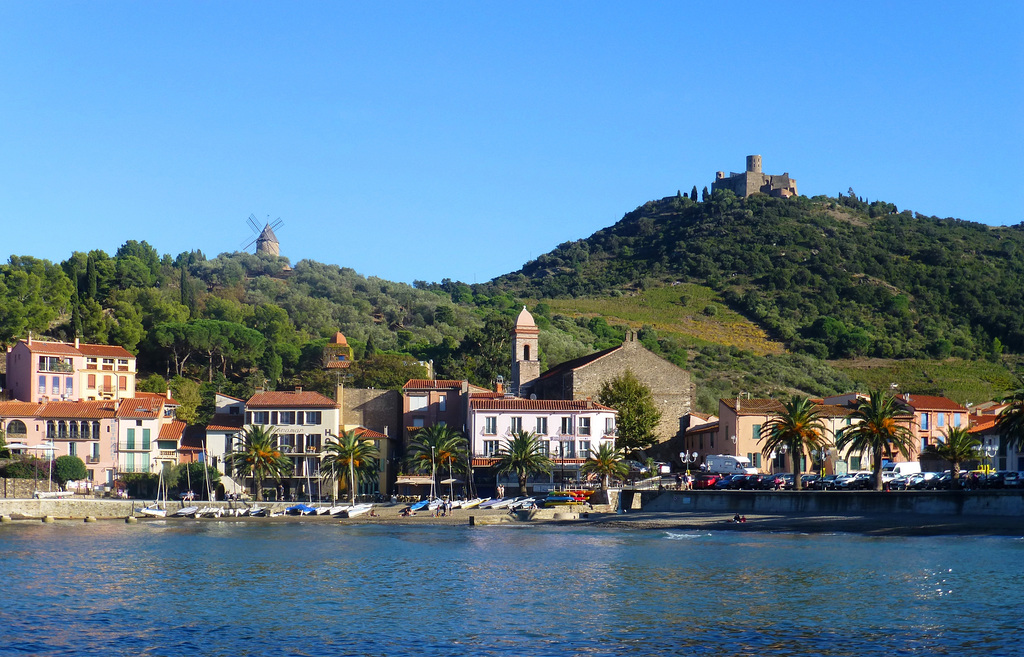 FR - Collioure - View towards Fort St. Elme